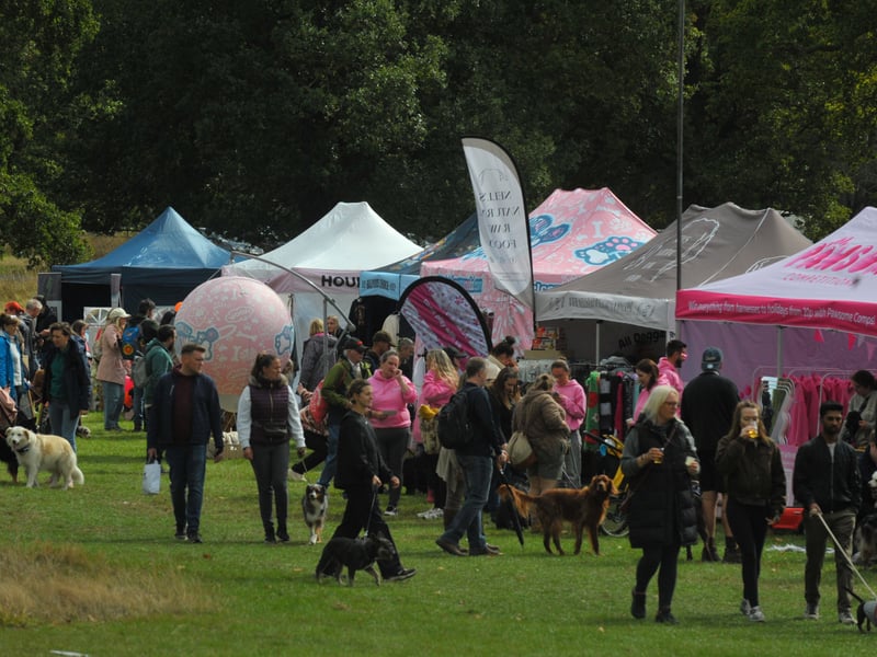 First held in 2014, the event has grown into a nationwide series across seven locations