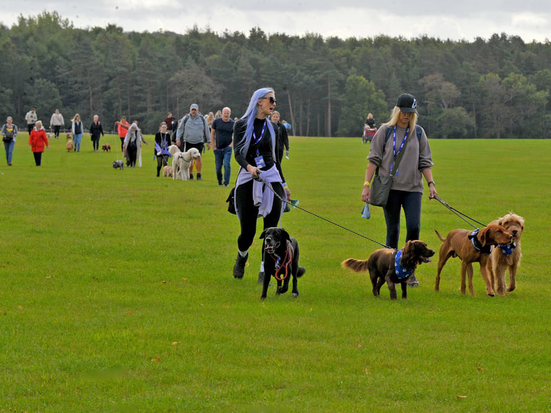 The Agria Dog Walk saw a walk around the stunning grounds