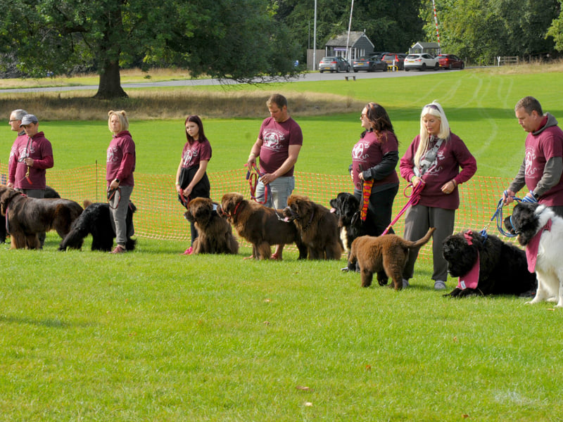 The event featured dog displays, expert advise, shopping opportunities and food stalls.