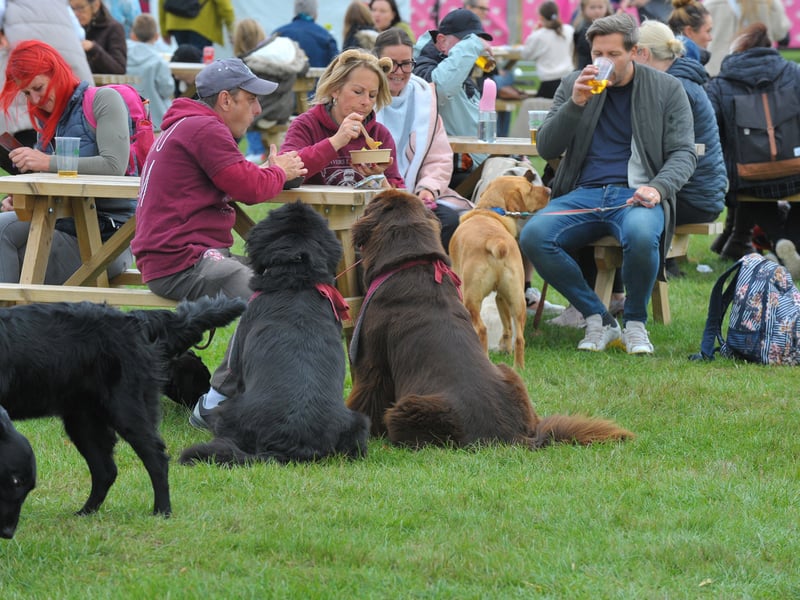 Owners take a break as dog fest gets into full swing