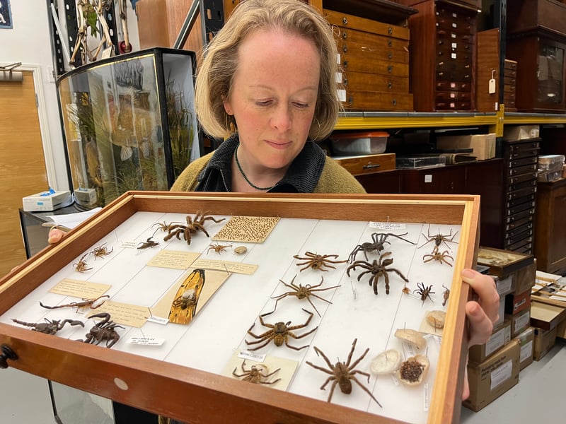 Ever wonder what treasures Leeds Museums holds that aren't on display? Join this exclusive tour into the Discovery Centre's vast collection stores, where curators protect over one million objects. This is a unique opportunity to see rare historical and cultural artefacts up close. 🔎 Leeds Discovery Centre, Carlisle Road.