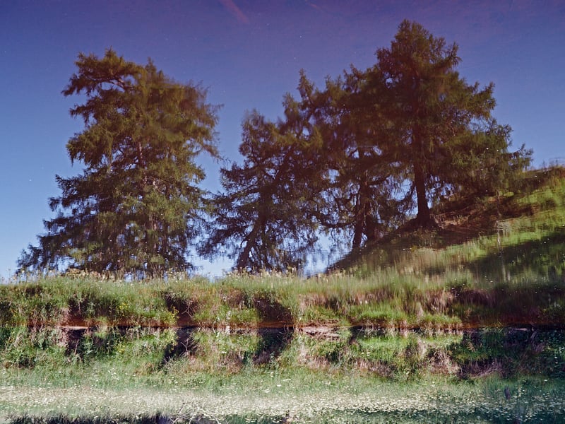 Still reflections in the river of its surrounding environment during summer low levels. The reflections of trees standing together as timely observers of the River’s perpetual path.