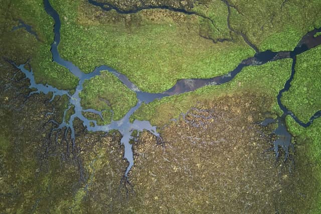 From Loch Spey, the source of the river immediately narrows into its flow through remote peatland. Lush and green on the north, while deer-trodden to the south.