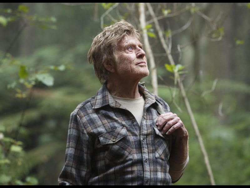 Disney's 2016 live action remake of 1977 animated classic 'Pete's Dragon' scores 88 per cent on the Tomatometer. It tells the story of an orphaned feral boy who befriends a dragon. Redford plays the father of park ranger Grace Meacham.