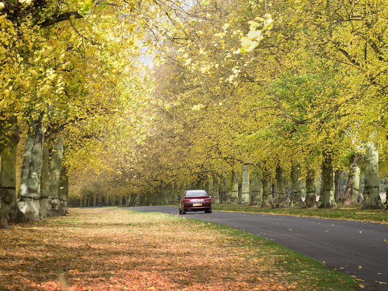 Uk Midlands Spring 6 beautiful and historic National Trust sites in the East Midlands ...