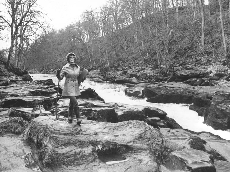 Many Britons discovered a greater love of the outdoors in the 70s, particularly during the hot summer of 1976. A shady ramble through the woods, especially beside a stream in which to cool off, was ideal.