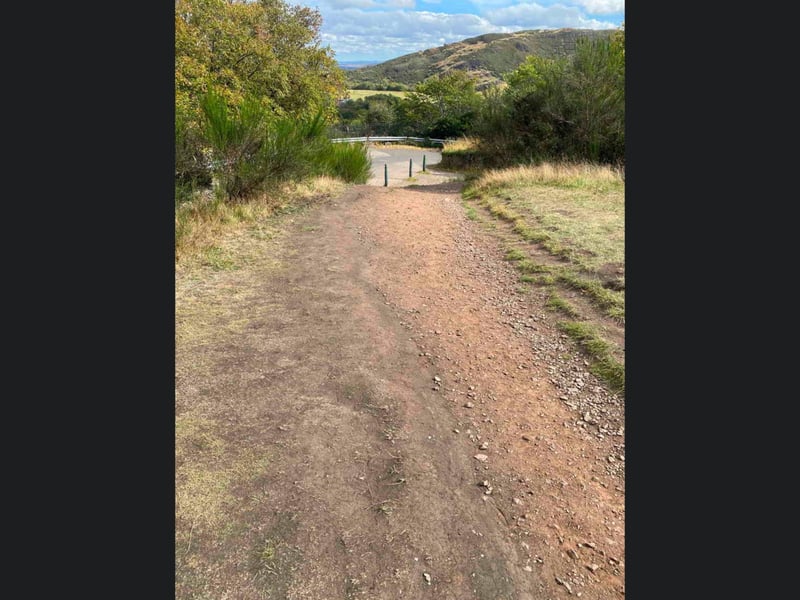 Erosion happens in areas where the grass has repeatedly been cut short - such as along pathways like the one pictured.
