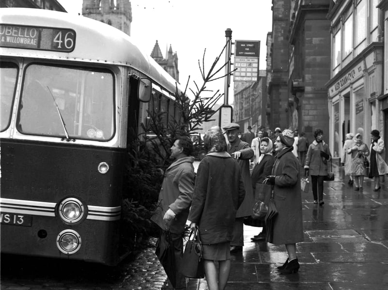 A man with a Christmas tree tries to board a bus in December 1965