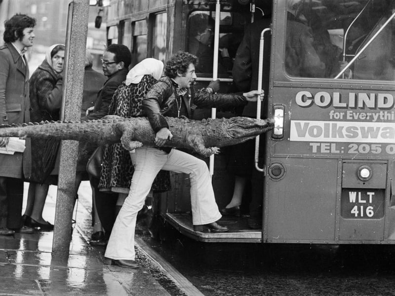 Chris Marrion boards a double-decker bus with a stuffed crocodile under his arm in November 1974