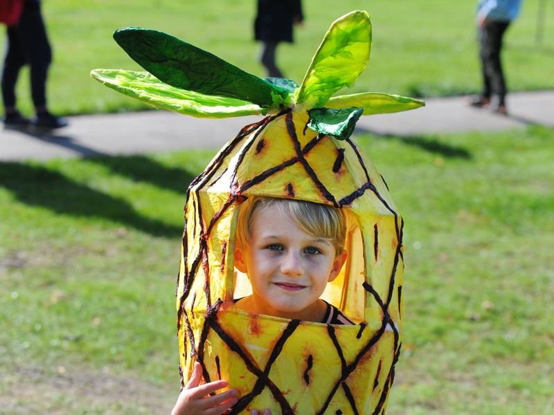 Frank Beattie-Adams, five, of Horsforth with his pineapple hat for the parade