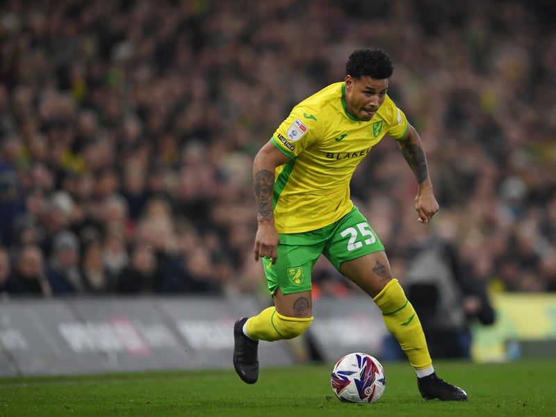 Last club: Norwich.
Record last season: 26 games, 2 goals, 4 assists.
Nationality: Cuba.
Valuation: €500k.
Age: 32.