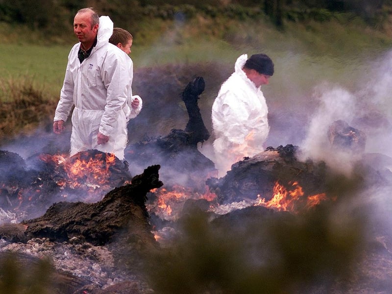 A Ministry of Food official supervises as funeral pyres burn in March 2001, to destroy infected carcasses at a farm during the 'foot and mouth' crisis
