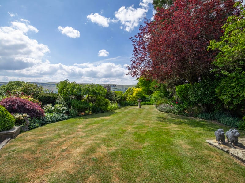 Mature garden