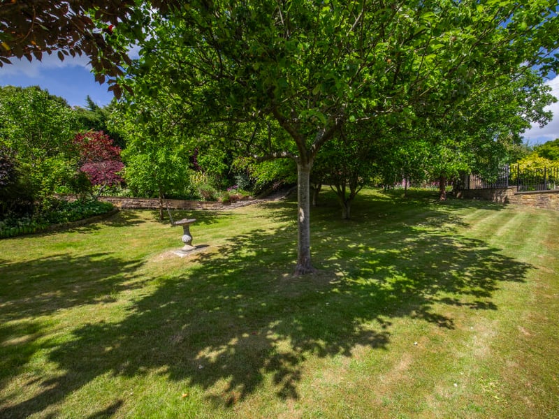 Side garden