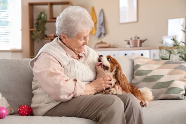 You're never too old to be a dog owner.