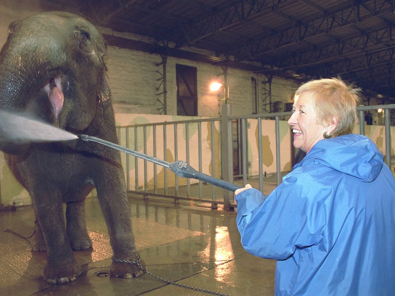 Shirley Armour gave Crumple the elephant her morning shower at Blackpool Zoo to raise funds for the Blackpool Samaritans. PIC BY ROB LOCK
