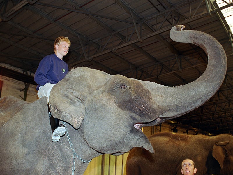 Gazette reporter Dominic Ball finds out what its like to be an elephant keeper for the day At Blackpool Zoo