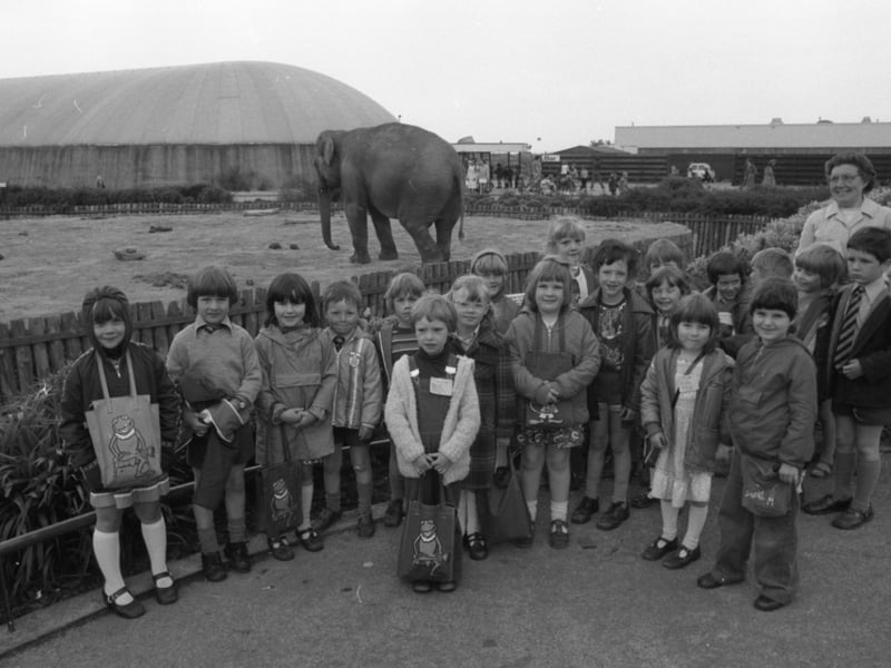 School children visit the elephants at Blackpool Zoo - probably mid-1980s. They are from a school in Preston