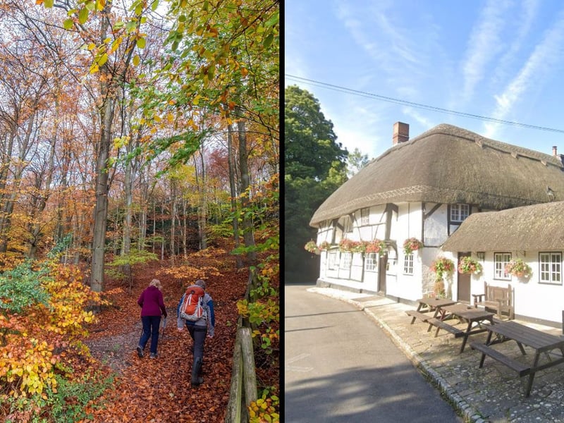 Queen Elizabeth Country Park has it all with woods to explore, a park, an assault course, bike trails, a cafe and even a dog wash for your four-legged friends. It really is special at this time of year. And luckily on your way home just a short drive down the A3 is the Red Lion at Charlton which has great food, a cosy feel  - as well as fantastic views!