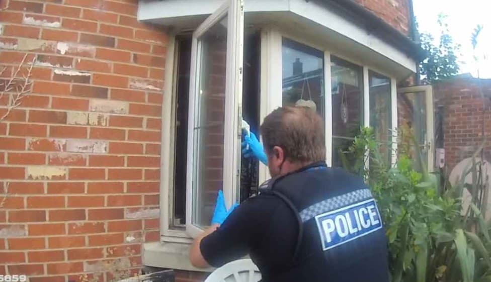 Woman, 62, in court over XL Bully attack after man is mauled visiting her ...
