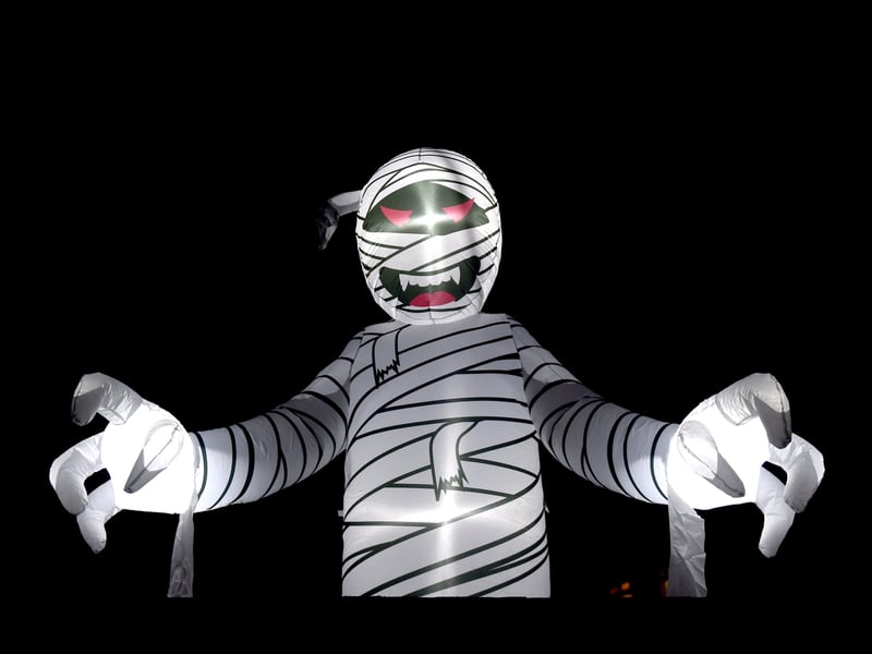 Liam McErlean (24) from Ireland Way in Waterlooville, has created a light show for Halloween whilst raising money for Men's Minds Matter charity. 


Picture: Sarah Standing (061025-1078)