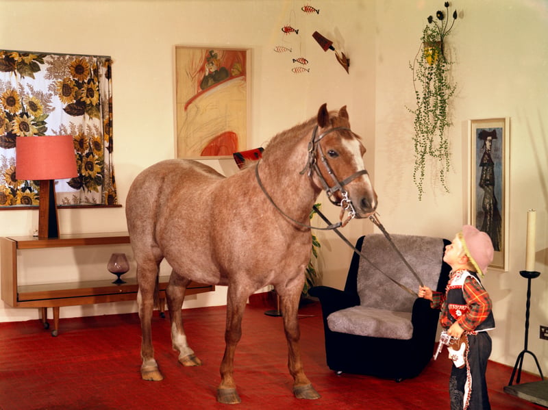A horse is pictured in the living room of a home in 1963, demonstrating the durability of the vinyl floor covering. The advert used the tagline 'Mummy wouldn't mind'.