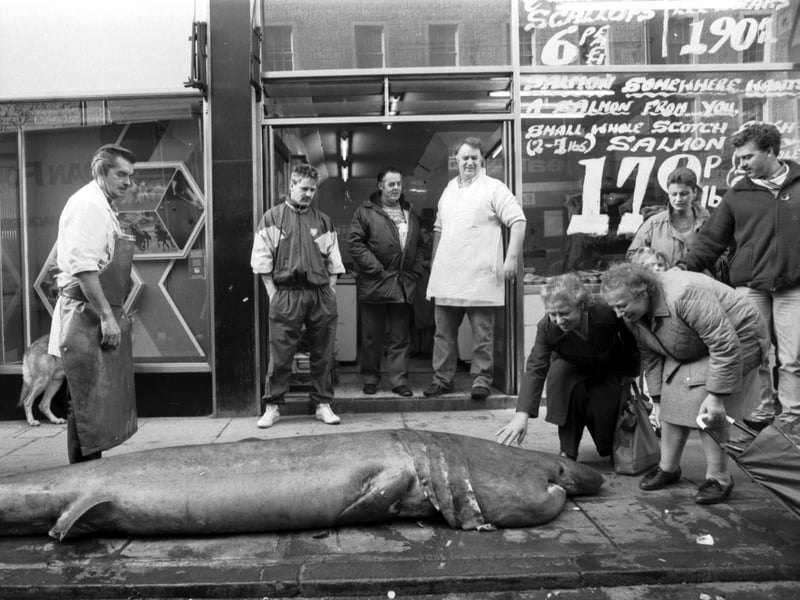 Passers-by stop to gawp at a 12ft basking shark, caught by mistake and delivered to Edie Brothers fishmonger in Edinburgh, in November 1989