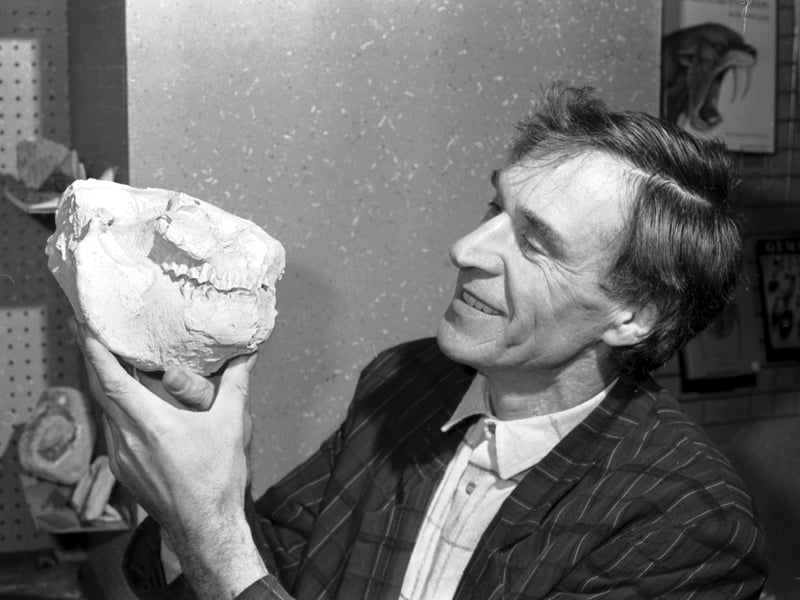 Professional fossil-hunter Stan Wood with the skull of a prehistoric fish (found in a river in the Borders) at his shop in Edinburgh, in January 1988