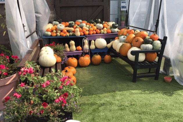 Nestled in the heart of the Angus community, Charleton Fruit Farm invites you to "fall into fun" and "harvest the season." With over 20,000 pumpkins of all shapes and sizes, there’s something for everyone. It’s a great family day out, where you can pick your own pumpkins for carving or cooking. The farm also offers delicious food from its café, animal encounters, and other rural adventures. 🎃 7.06/10