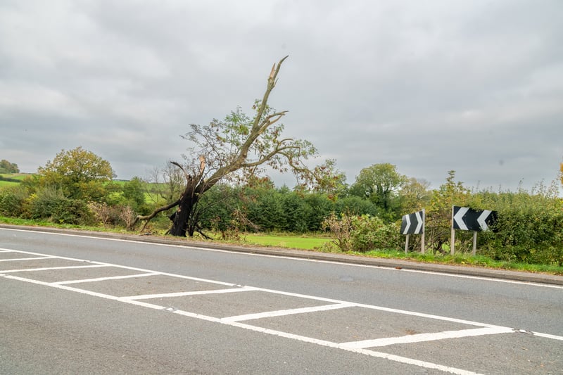 First pictures as man dies after Aston Martin collides with tree in A58 ...