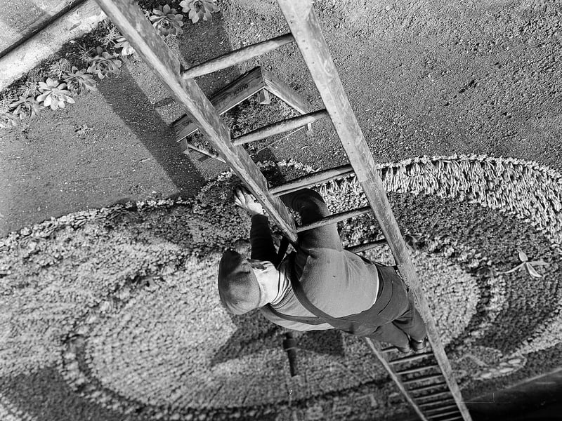 A council workman planting flowers that make up the floral clock being in Princes Street Gardens in Edinburgh  - this one commemorated the centenary of the Architectural Association in 1957.