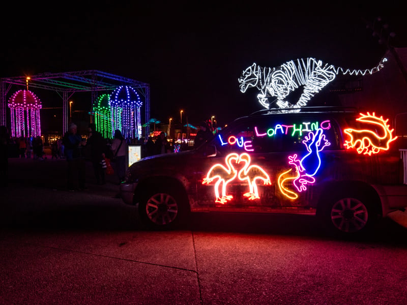 The White Tiger was created to celebrate the launch of the critically-acclaimed film The White Tiger, which is based on the New York Times bestseller and 2008 Man Booker Prize-winning novel of the same name.