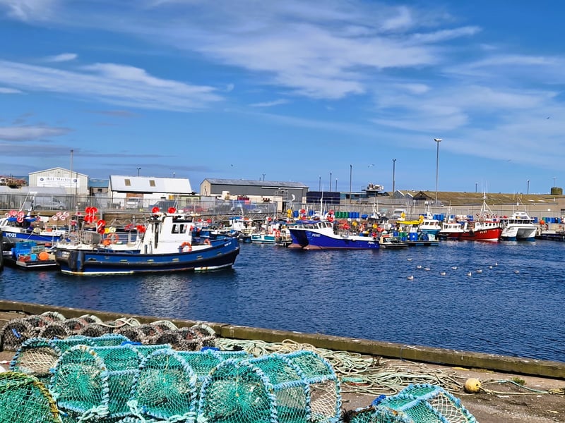 In Aberdeenshire, healthy life expectancy for women is 64.7 and healthy life expectancy for men is 64.1