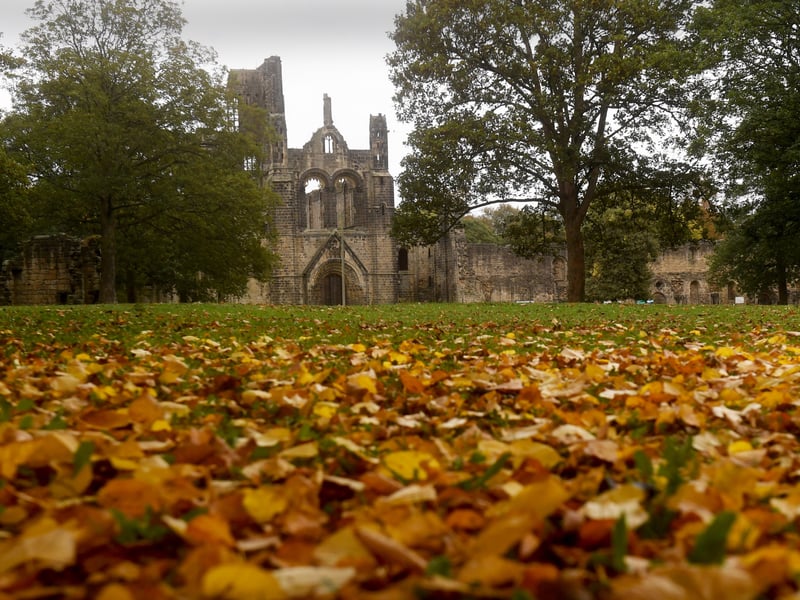 Kirkstall offers a unique blend of heritage (the Abbey) and modern convenience (the Forge station). It’s popular for its river walks and traditional pubs, offering a more relaxed version of the Headingley buzz.