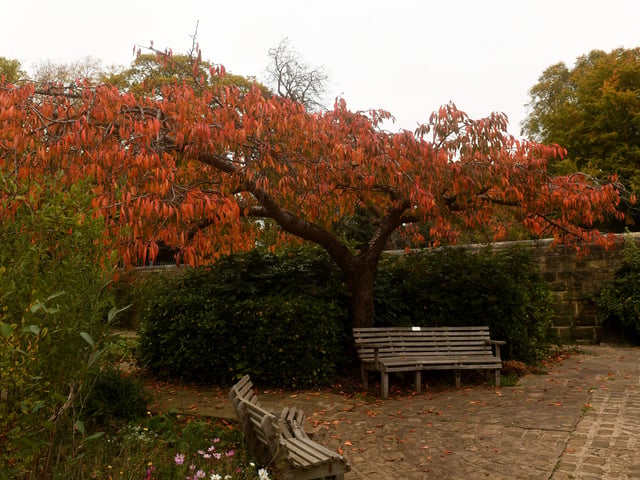 The Grade I listed attraction plays host to visitors throughout the year.
 

