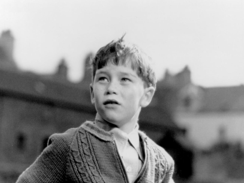 A beautifully shot, reflective drama about a young boy growing up in a remote fishing community on the Orkney Islands. Based on the novel by Christopher Rush, the film captures the isolated, mythic quality of island life through the eyes of the boy as he grapples with the strange world of adults, the sea, and folklore.