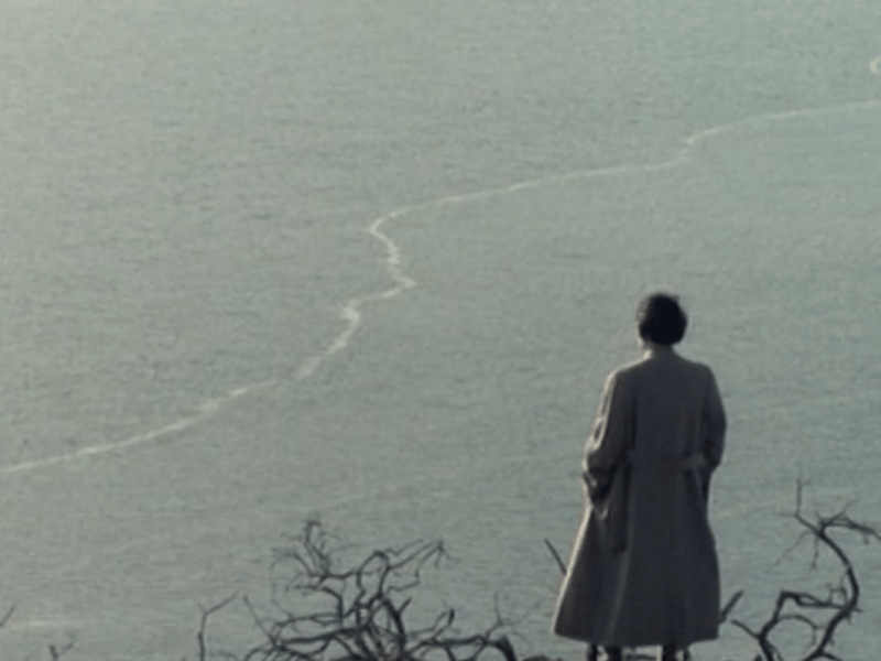 A powerful, atmospheric drama set in 1944. It tells the story of Janie, a young Highlands woman whose monotonous life on a remote farm is shattered when a group of Italian prisoners of war arrives to work the land. The film beautifully captures the desolation and quiet passion found amidst the rugged landscape of the Black Isle.