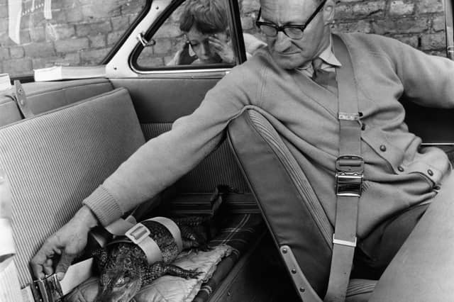 The first seat belt was patented in 1885, but the three-point seat belt we all use today is a much more recent invention. It was the brainchild of Volvo engineer Nils Bohlin, who developed the life-saving device in 1959. In one of the greatest acts of commercial altruism, the manufacturer left the patent open in the interest of public safety, allowing all other car makers to use it for free. Although seat belts have been mandatory in new cars since 1965, it was not until 1983 that drivers and front seat passengers were legally required to use them in the UK. This driver is pictured wearing one of the old two-point seat belts in the early 60s, though his pet alligator is securely fastened in the back seat.