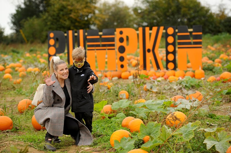 16 spooktacular snaps as Rogate Pumpkin Patch celebrates its highly ...
