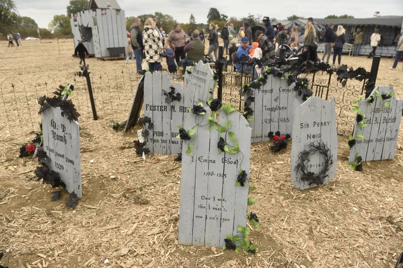 16 spooktacular snaps as Rogate Pumpkin Patch celebrates its highly ...