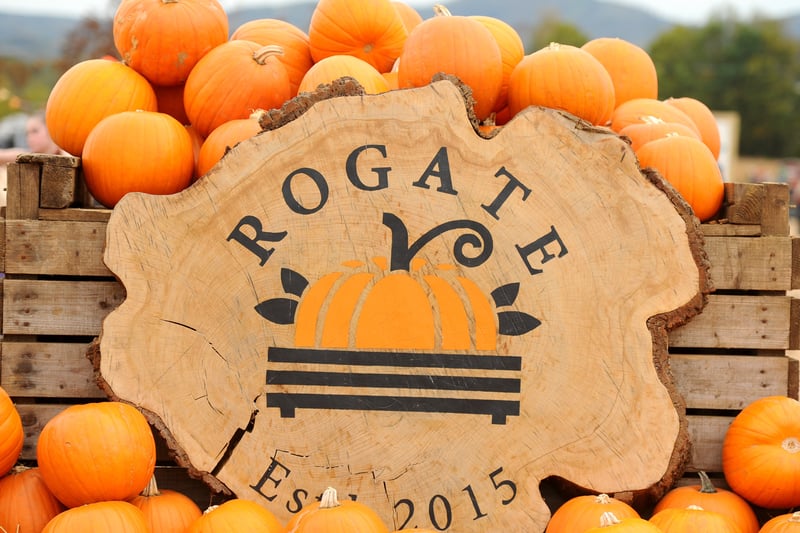 16 spooktacular snaps as Rogate Pumpkin Patch celebrates its highly ...