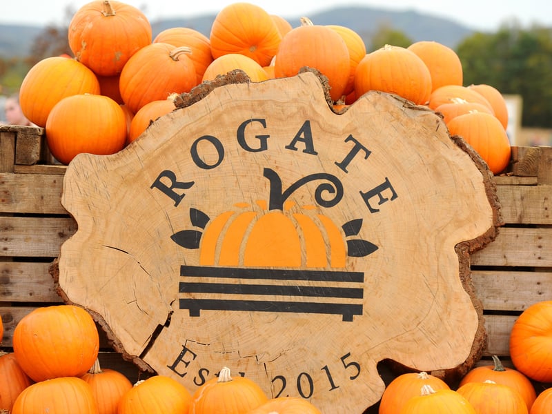 Rogate Pumpkin Patch in Rogate near Petersfield, has celebrated its opening weekend.

Picture: Sarah Standing (181025-5728)