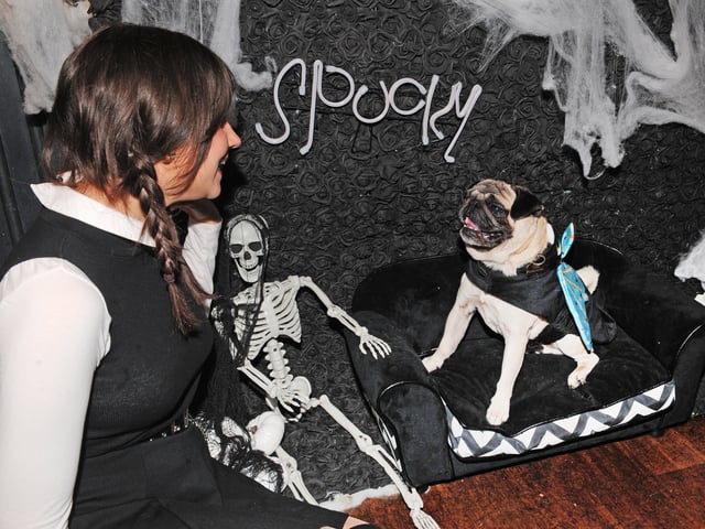 Lara Cribb of Wakefield with Elton the pug.