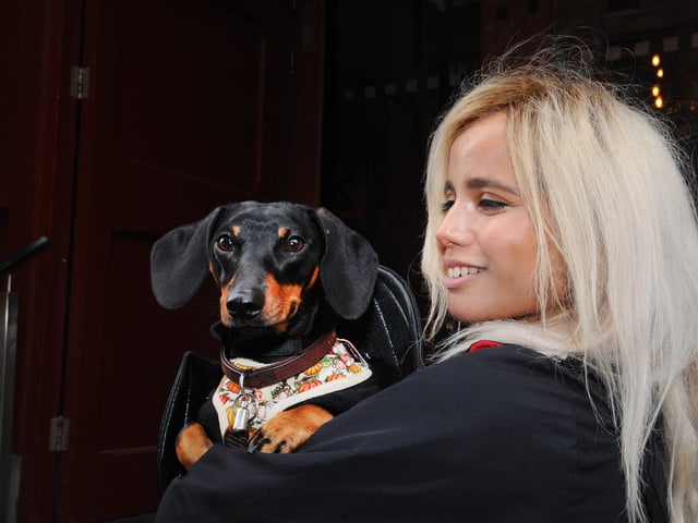 Cat Ramsdill of Horsforth with Dachshund, Ganymede.