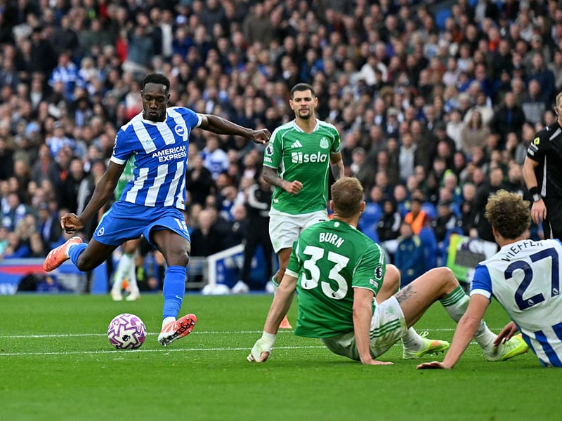 The Seagulls will be aiming higher than this. Predicted points: 57.35