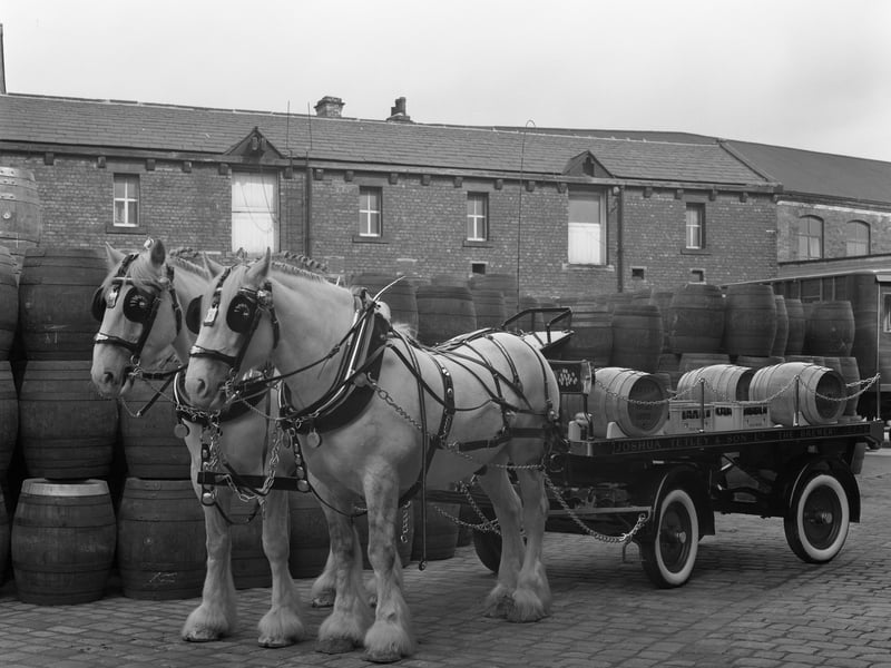 Tetley shire horses and dray, at Joshua Tetley Brewery, Leeds, in 1966. The world famous shire horses gave service to the company for 184 years, from 1822, when the brewery was established, until 2006, when the owners decided to retire them due to the rising cost of their upkeep. After lorries began delivering barrels, the horses had been kept on for ceremonial and promotional purposes. Tetley's brewery in Leeds closed in 2011 and was demolished the following year.