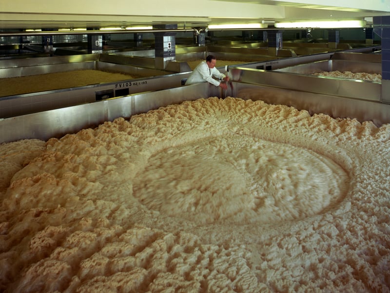 The huge fermenting vessels at Tetley's brewery, in Leeds, in 1968. The original brewery was opened on the south banks of the river Aire in Leeds in 1822 and by the late 2000s, 200 million pints of beer were being brewed on the site every year. Tetley's was taken over in 1998 by Danish brewers Carlsberg. In 2008, citing falling demand for beer as the reason, they announced plans to close the Leeds brewery in 2011 and move production to Northampton.