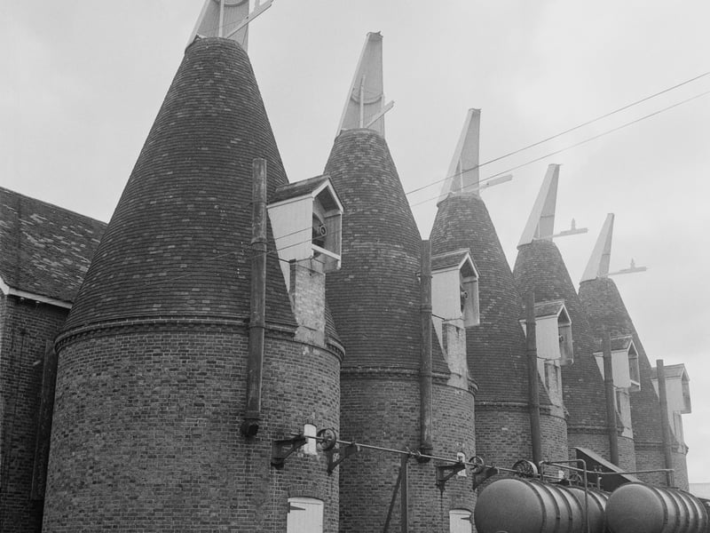 A row of Whitbread Brewery oast houses in Paddock Wood, Kent, in May 1958