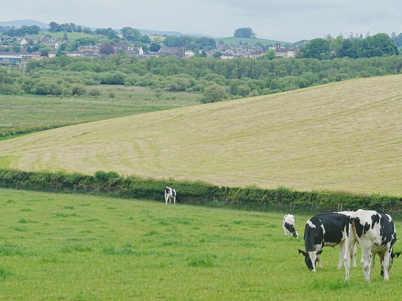 In Dumfries and Galloway, healthy life expectancy for women is 59.1 and healthy life expectancy for men is 58.8 
