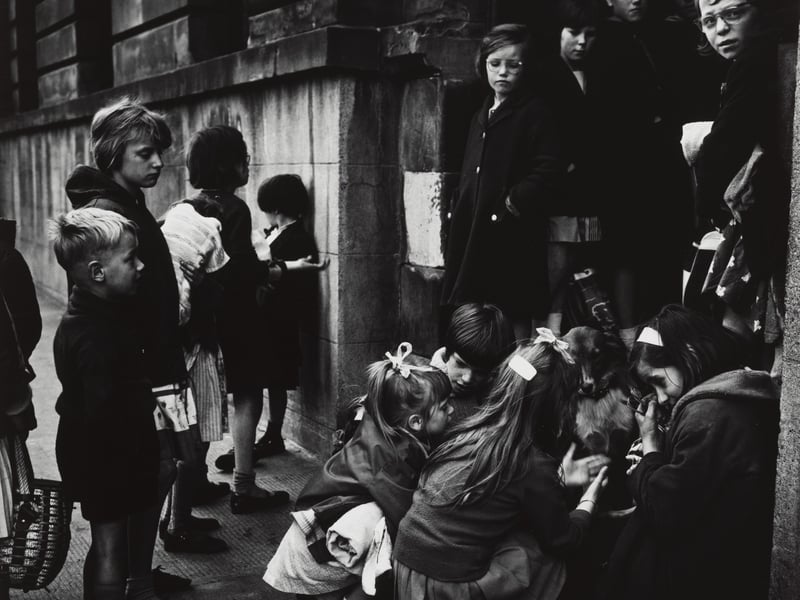 Untitled photograph by Joseph McKenzie depicting girls petting dog